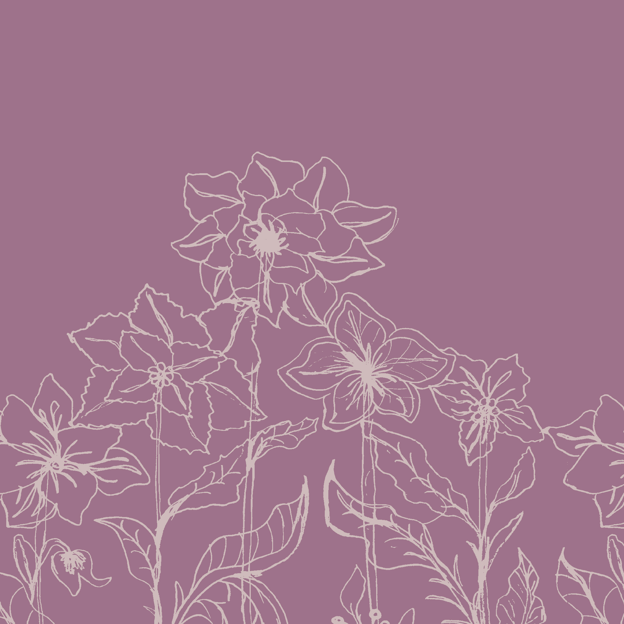 Dusty Bloom Symphony – Sleeve HTG