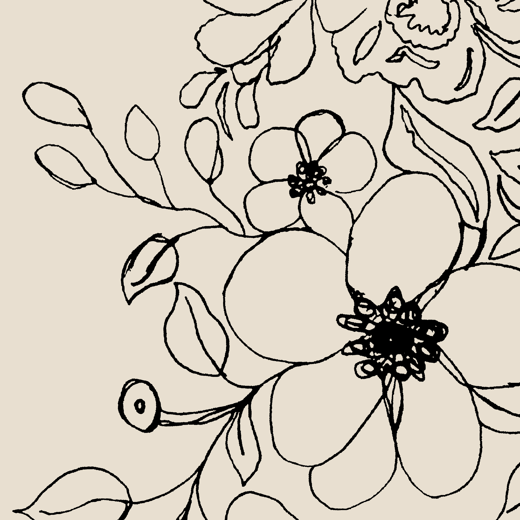 Whispering Florals-HTG