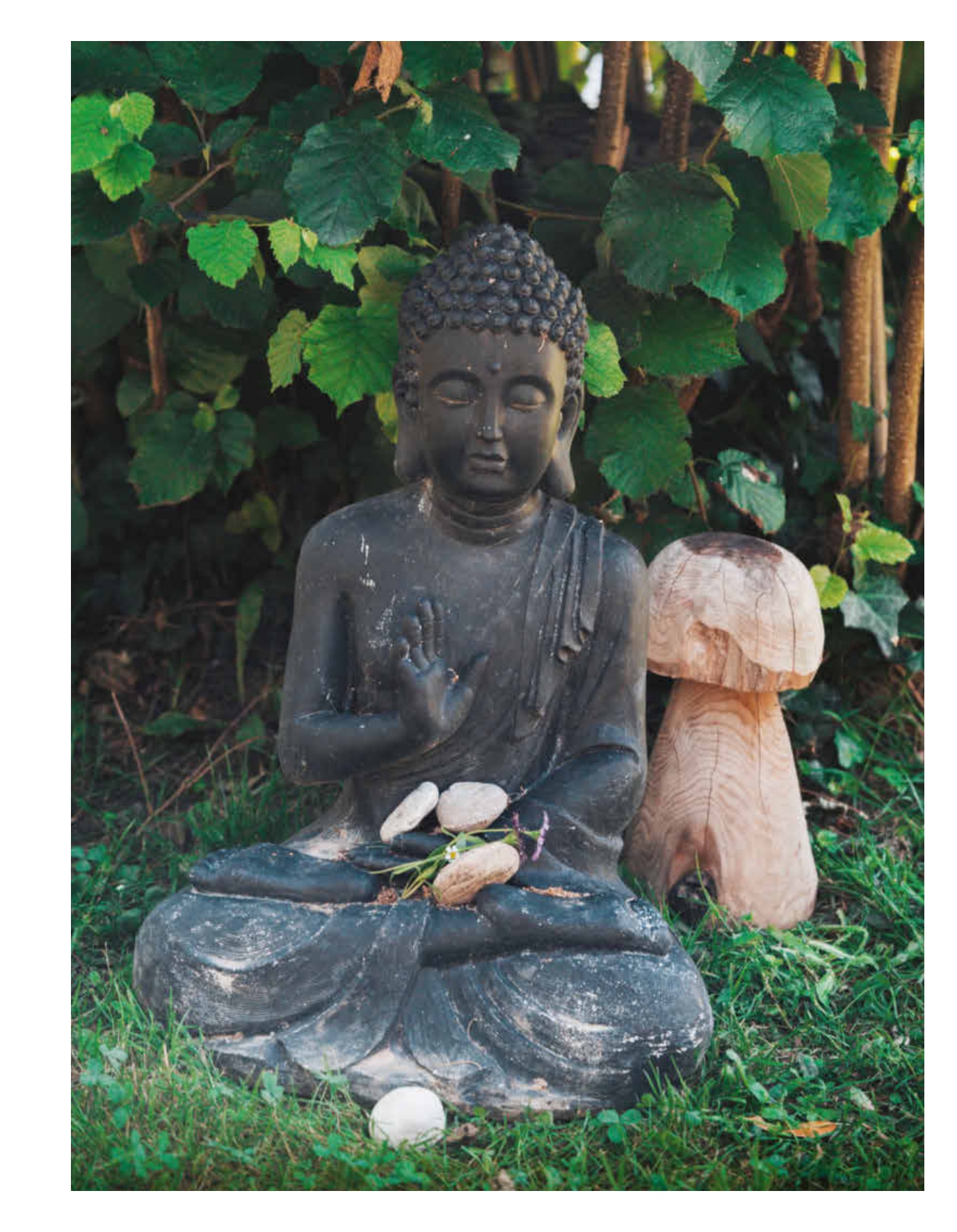 CUISINE & BIEN-ÊTRE