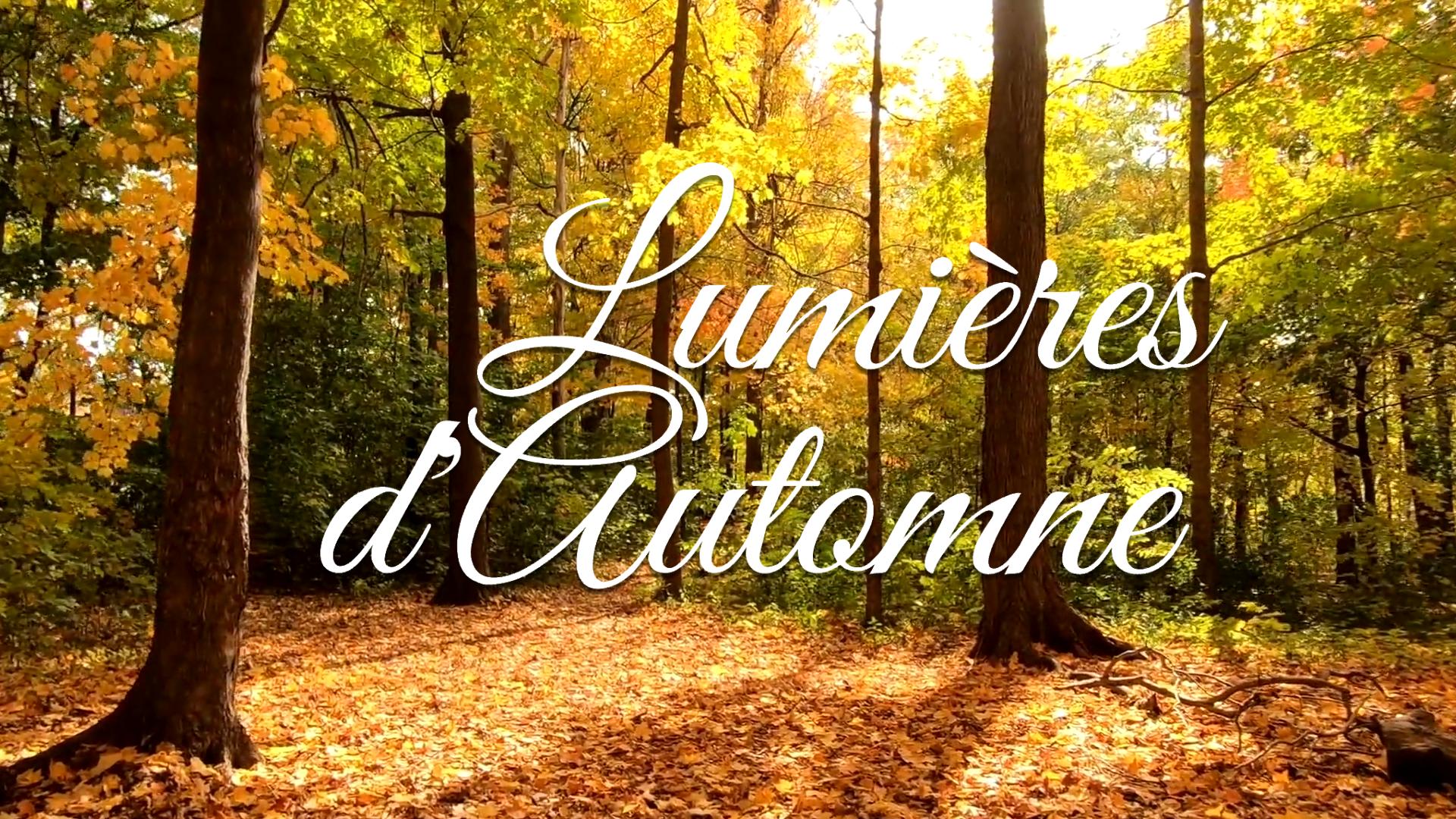 Lumières d'Automne