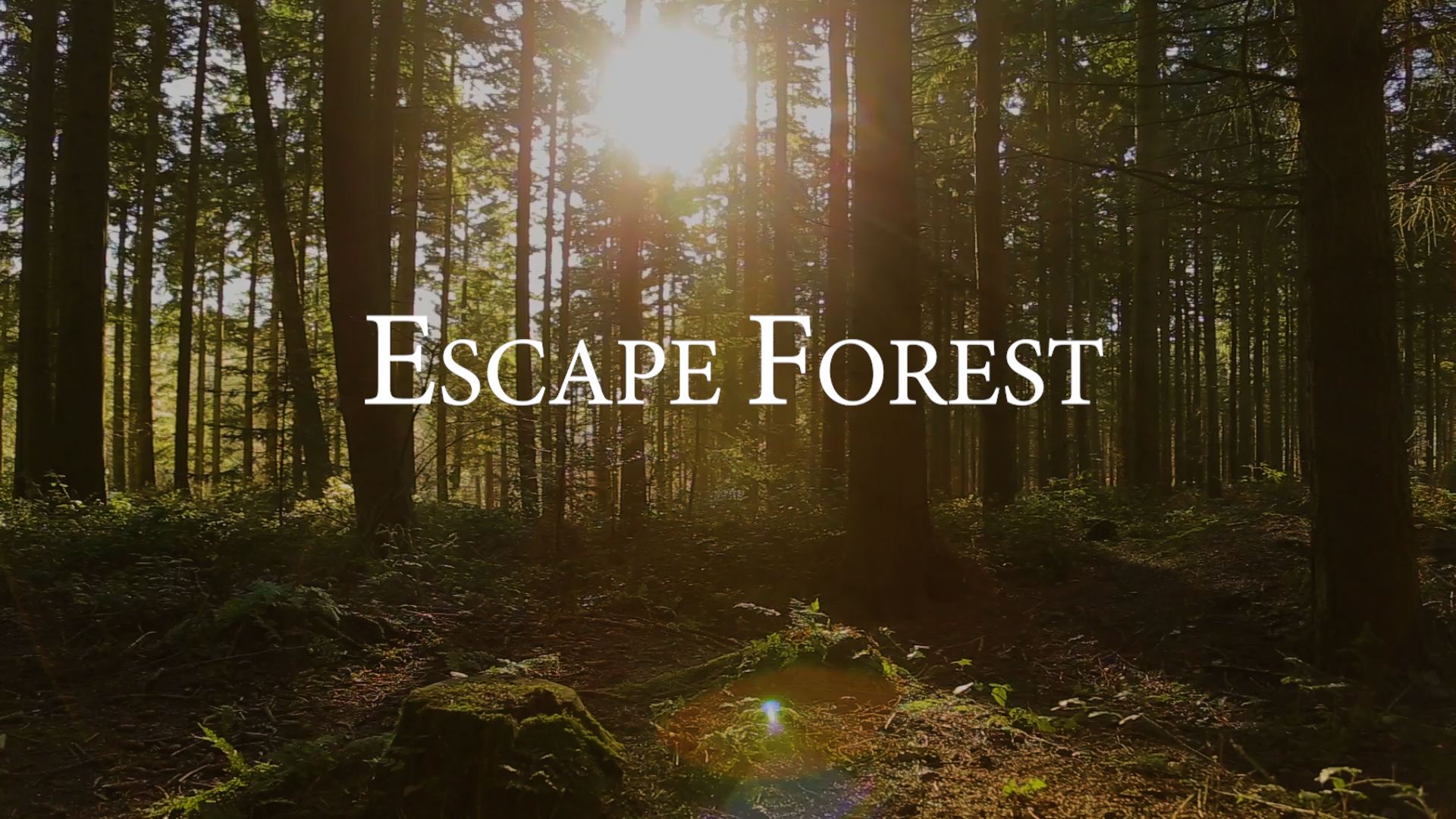Escape Forest 1h