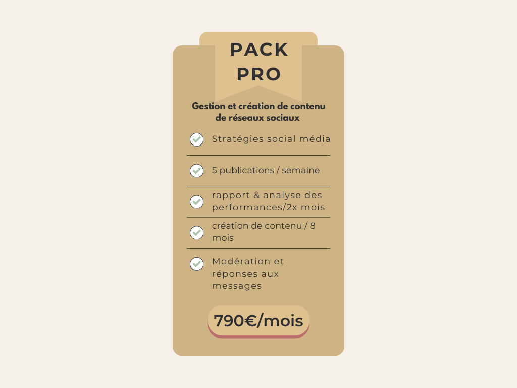 Gestion des réseaux sociaux et création de contenu / PACK PRO