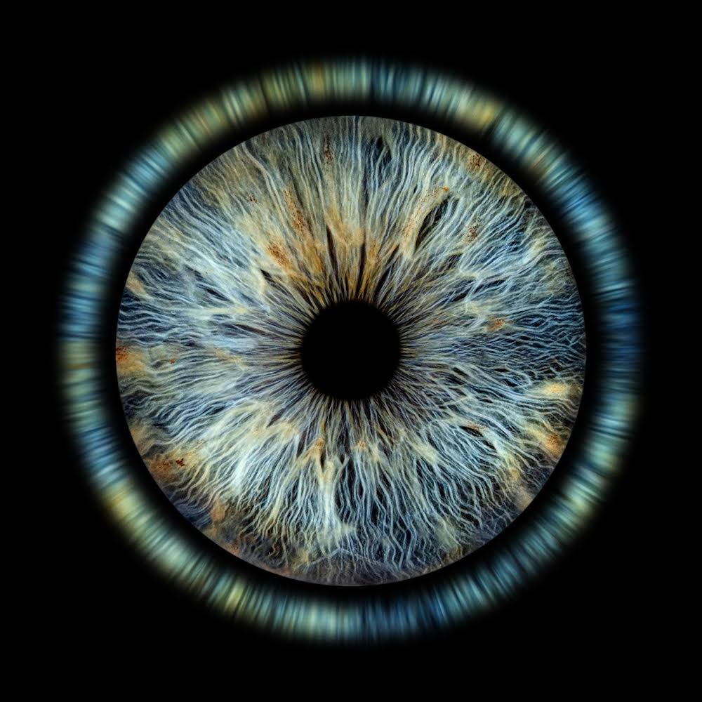 Entretien préliminaire