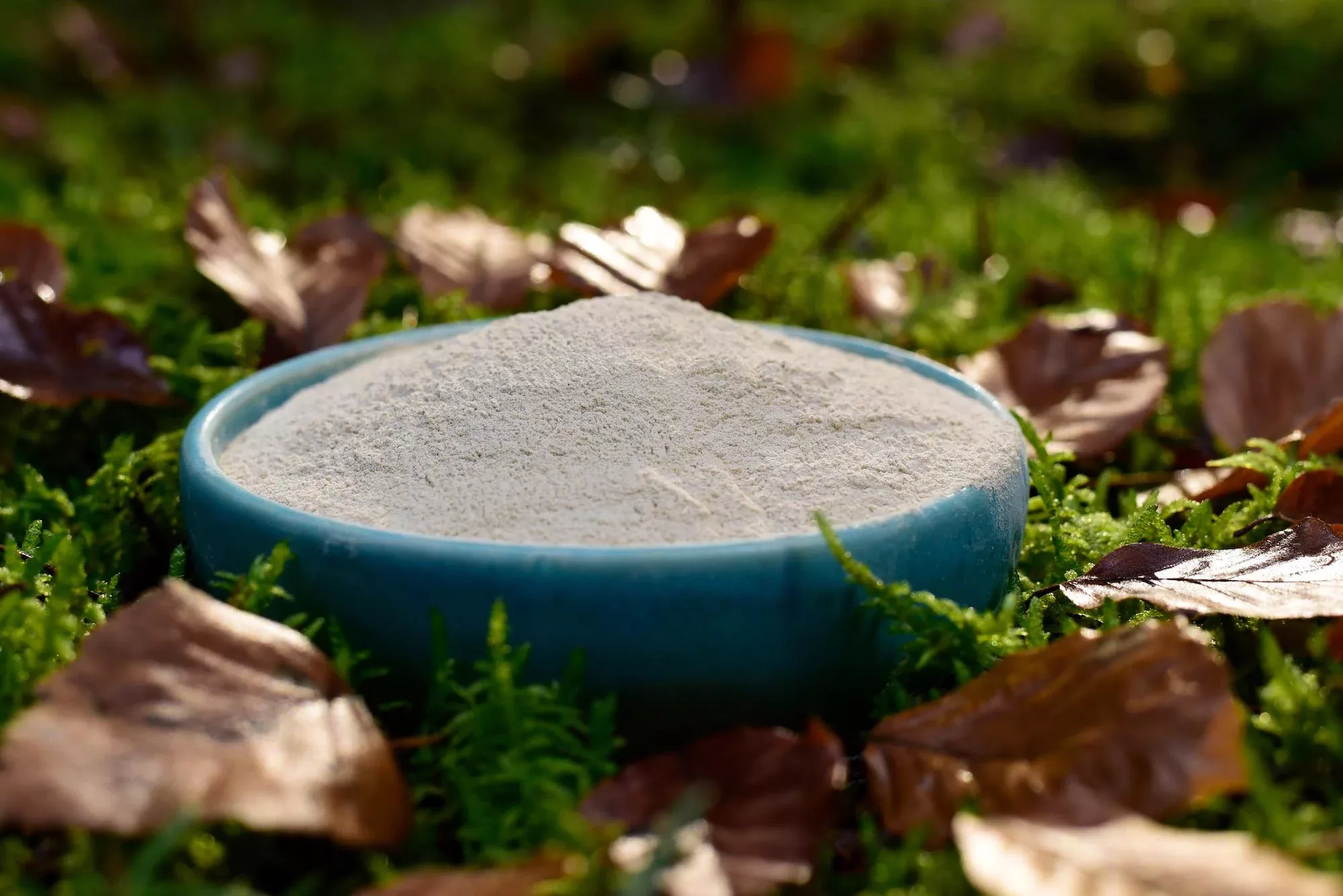 Ashwaganda - WHITANIA SOMNIFERA