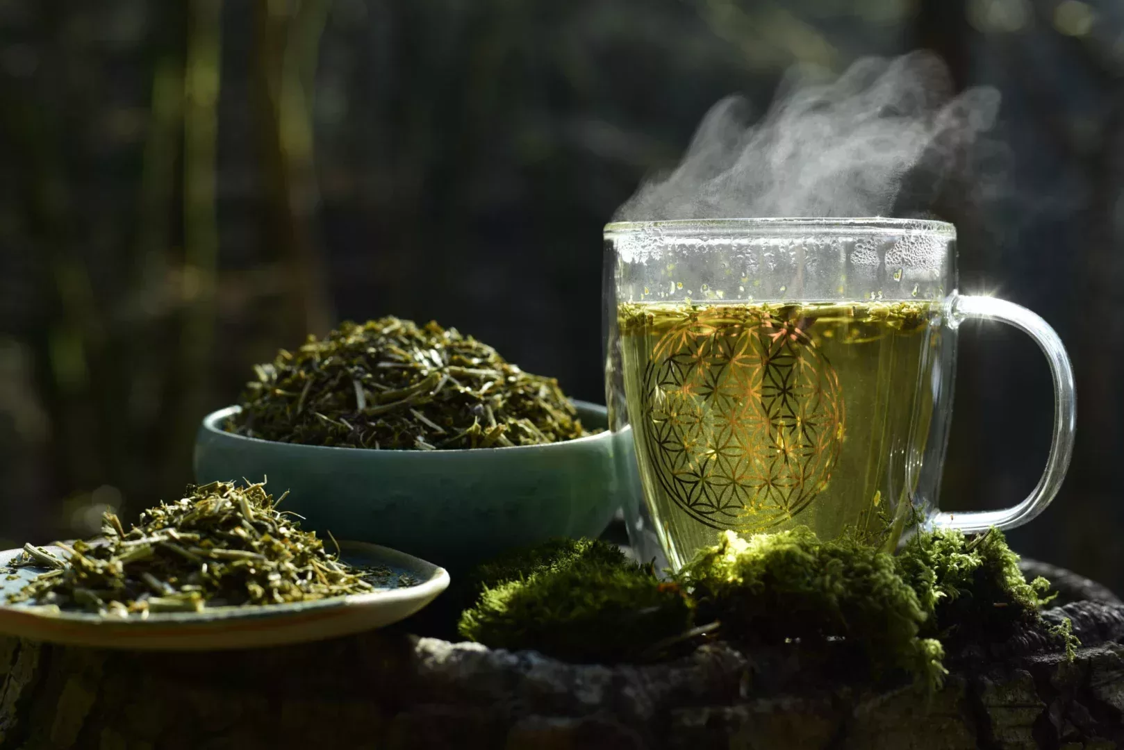 Fleur de la Passion - Passiflora - Feuilles