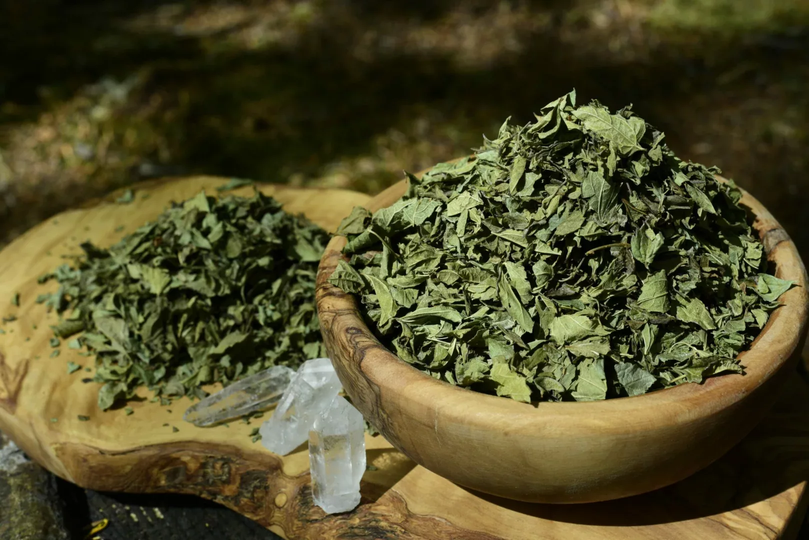 Herbes à Rêves - CALEA ZACATECHICHI