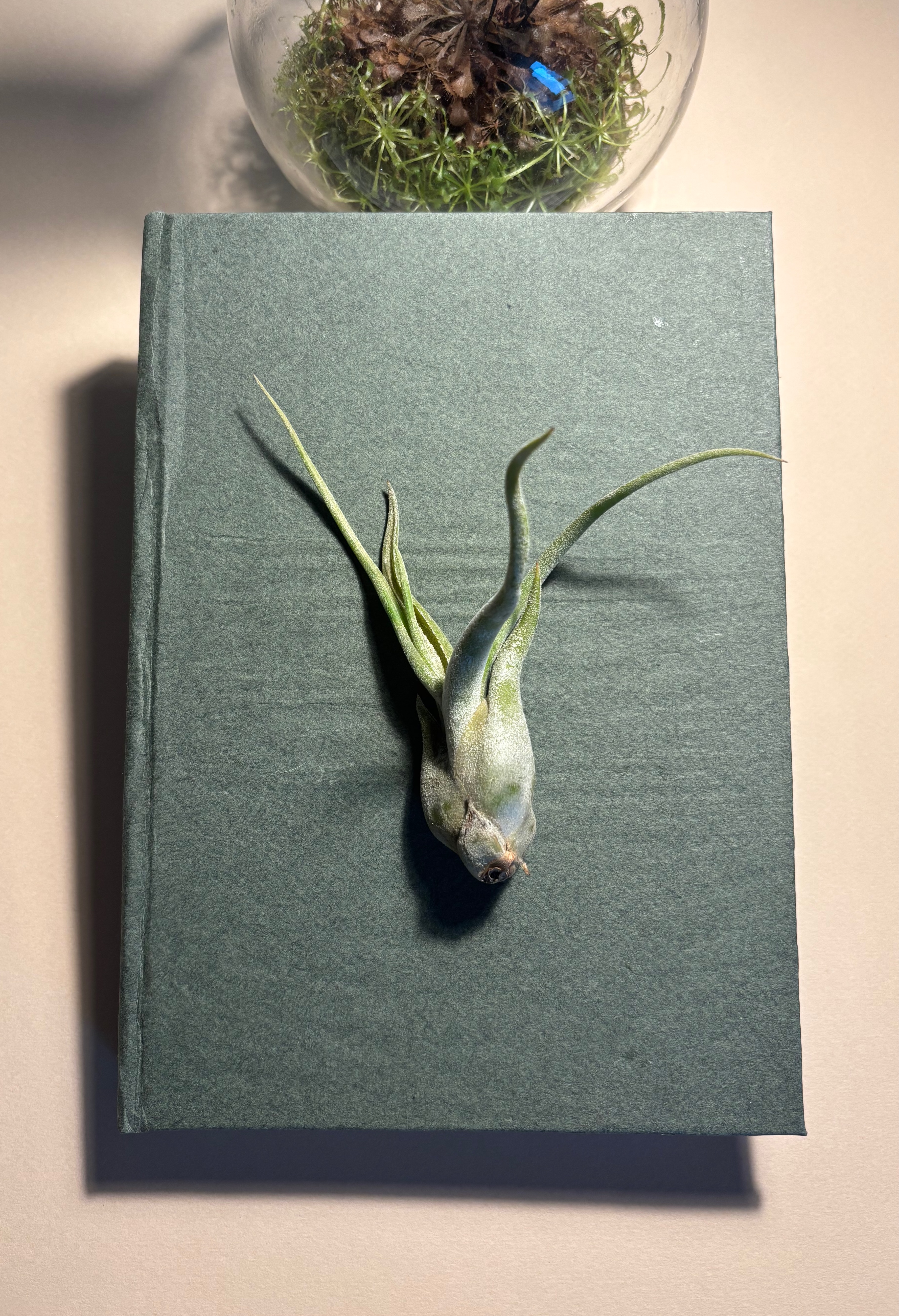 Le livre des 3 corps 