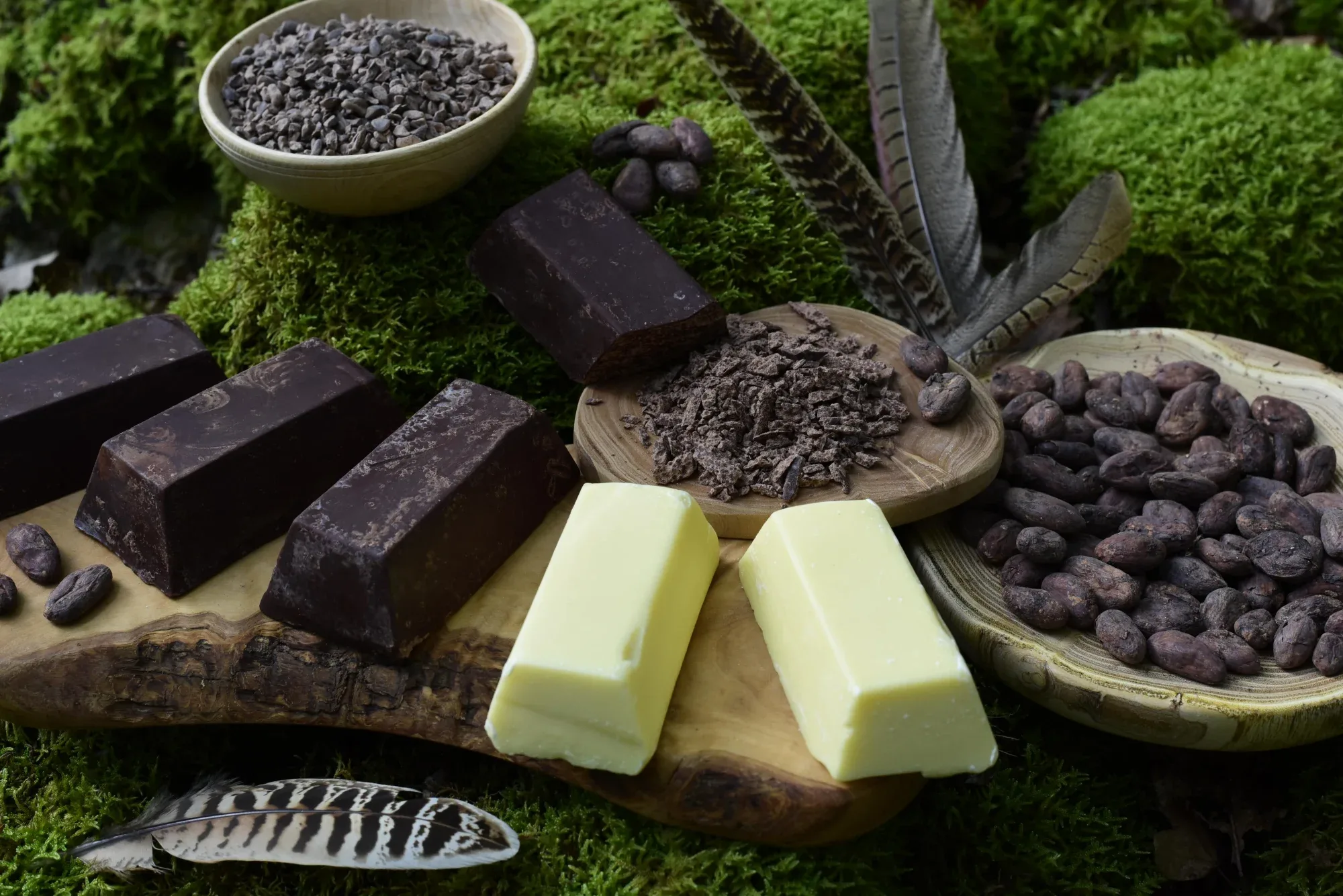 Cacao de cérémonie - THEOBROMA CACAO