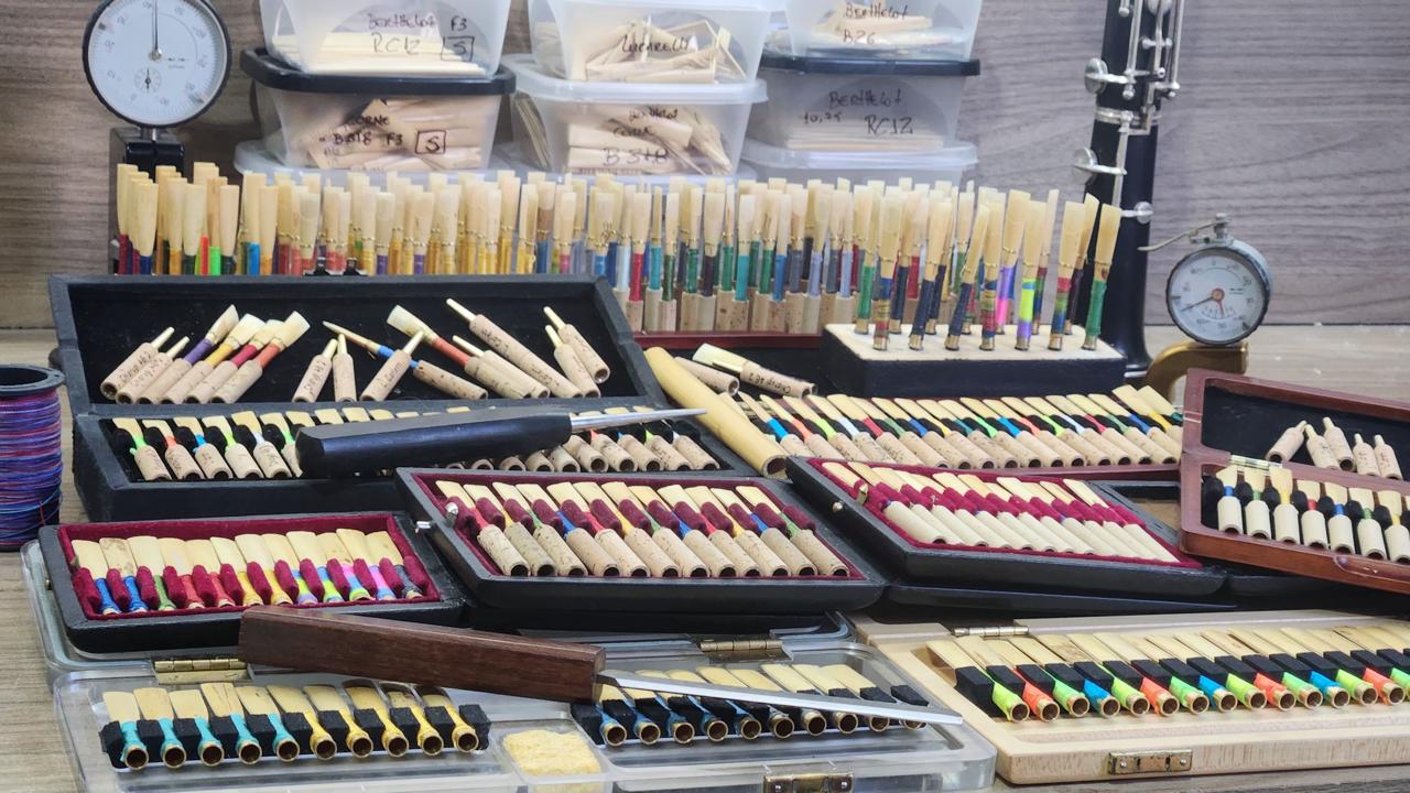 Palheta para Oboé Damore