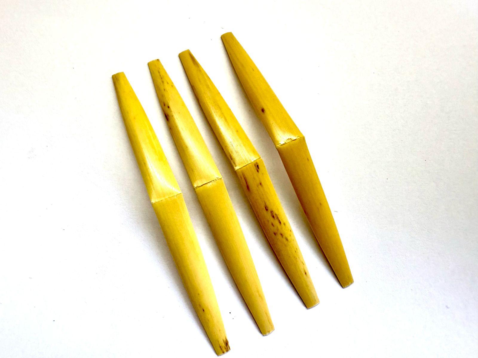 Cana Moldada para Oboé