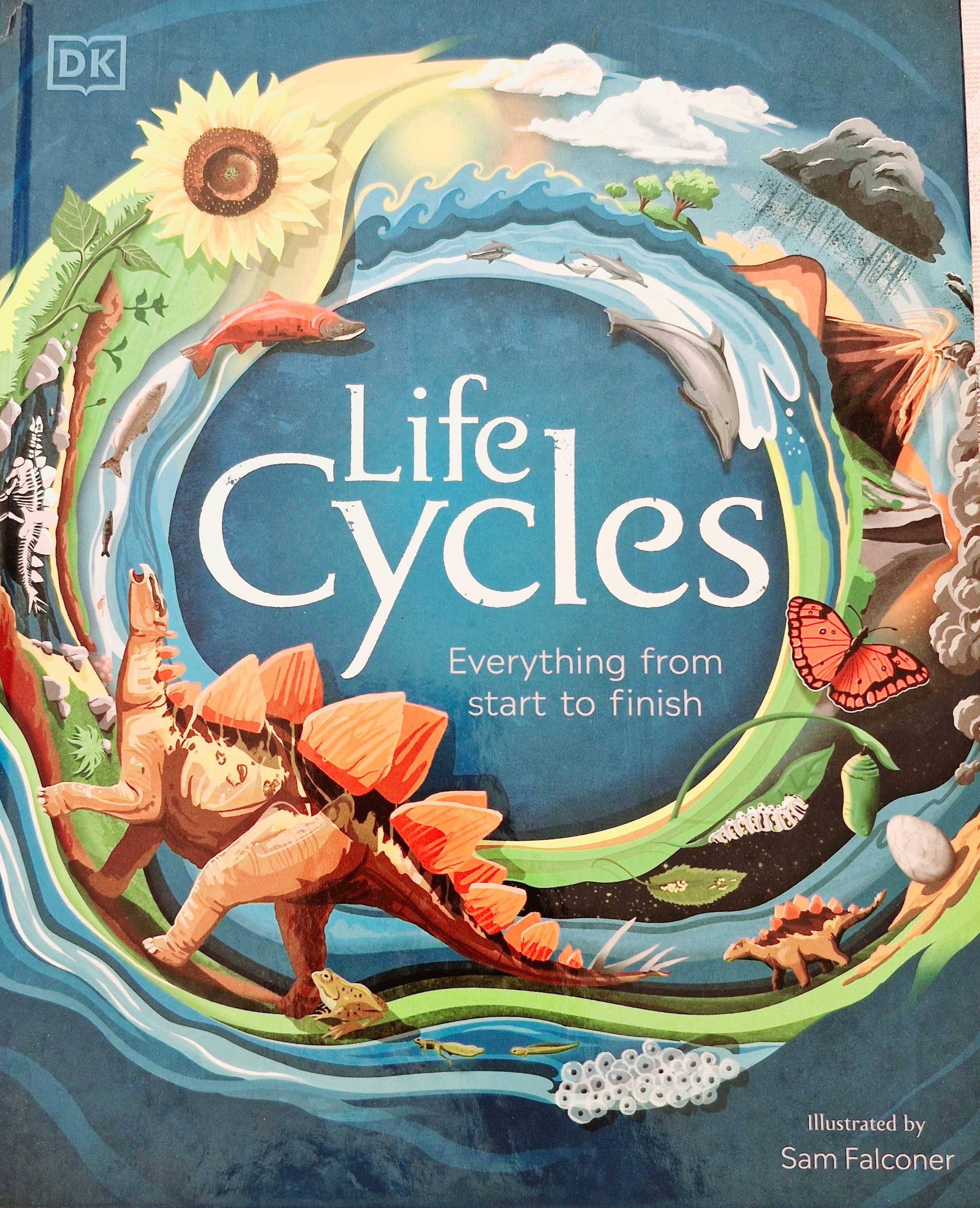 Life Cycles