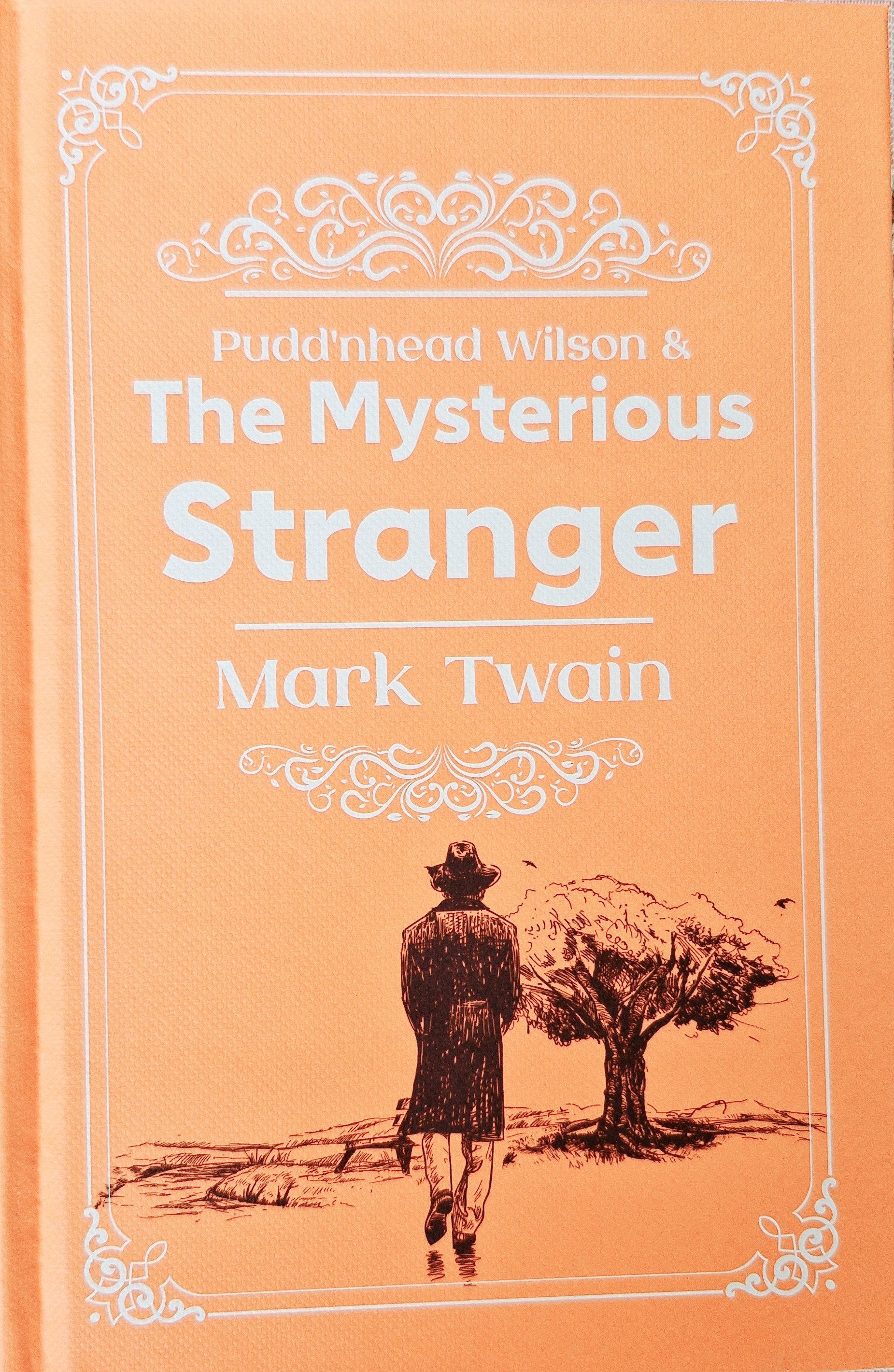 The Mysterious Stranger