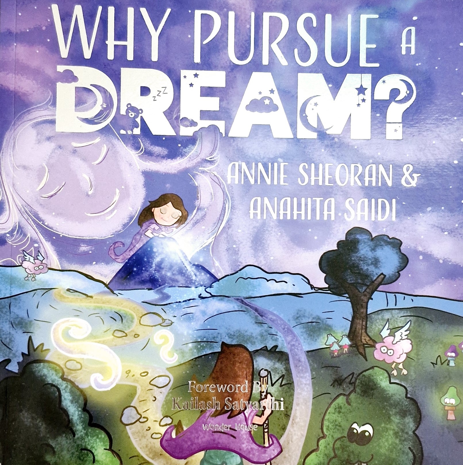 Why pursue a dream ?