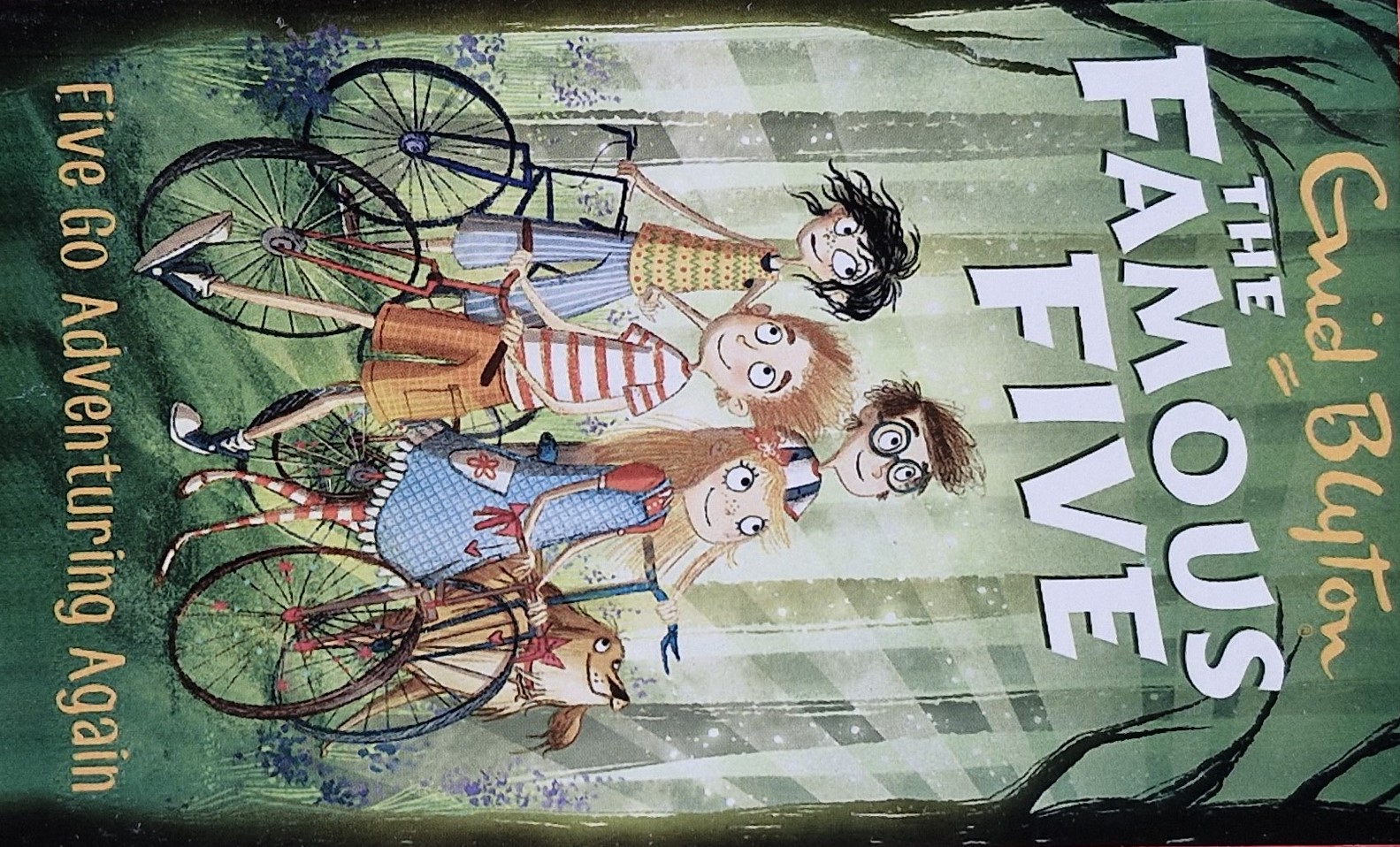 The Famous Five: Five Go Adventuring Again
