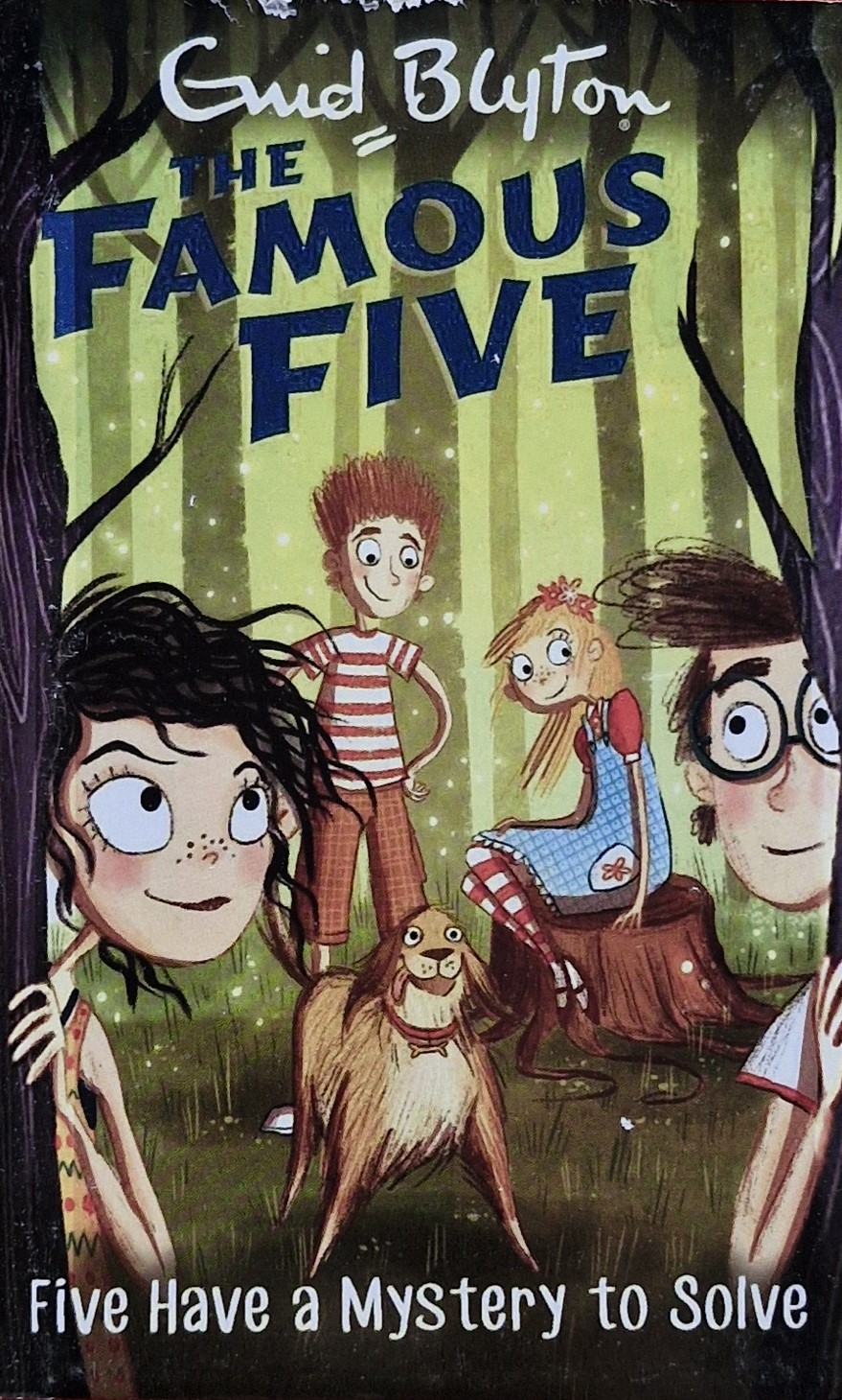 The Famous Five: Five Have a Mystery to Solve