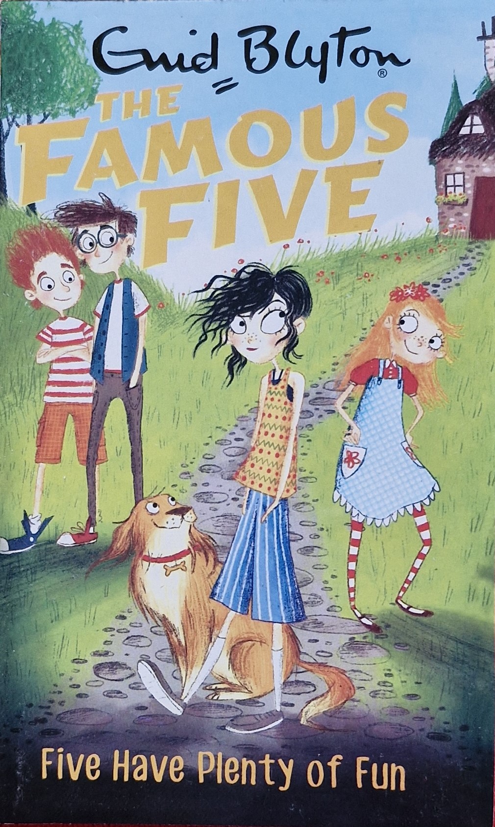 The Famous Five: Five Have Plenty of Fun