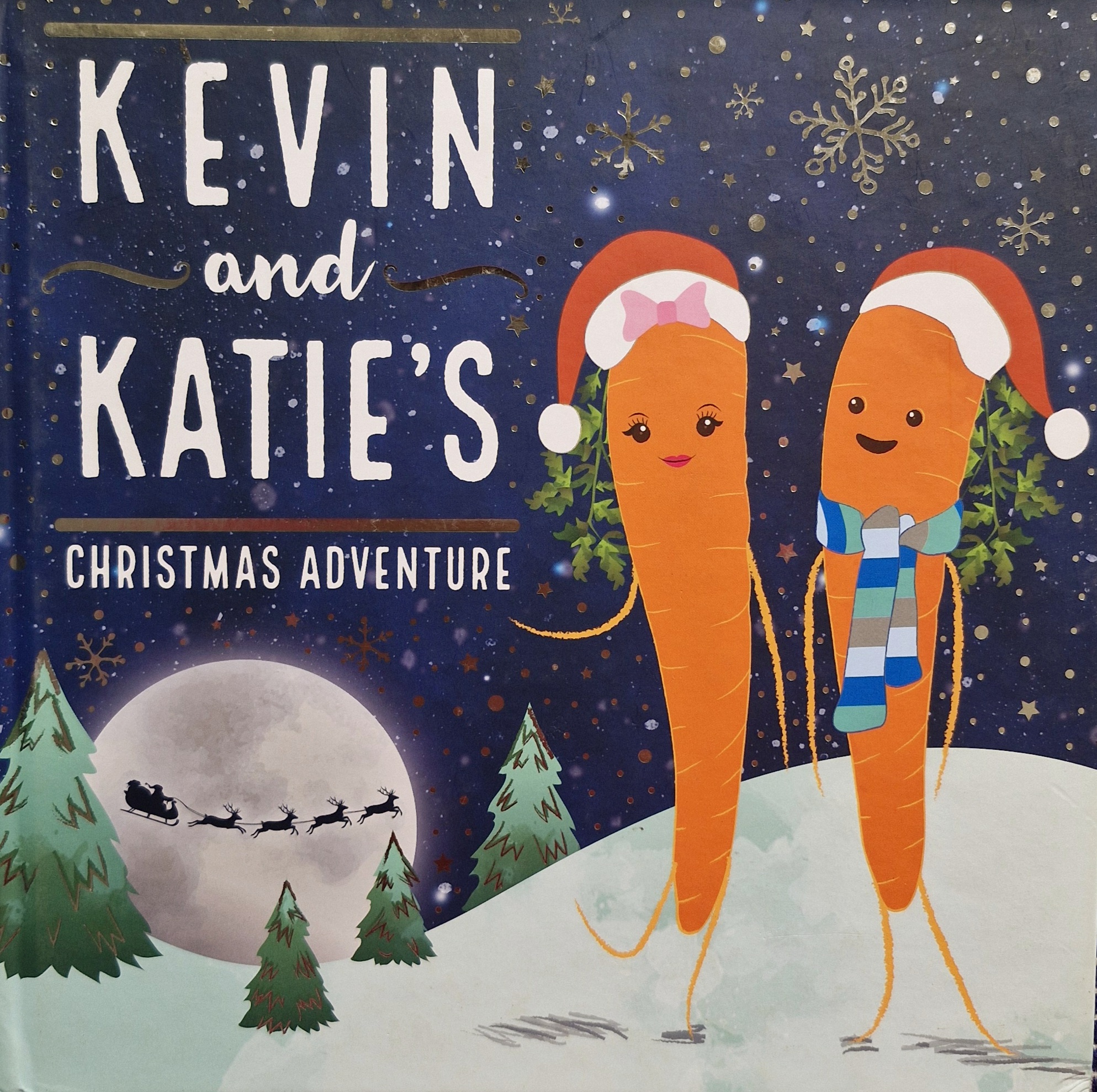 Kevin and Katie's Christmas Adventure
