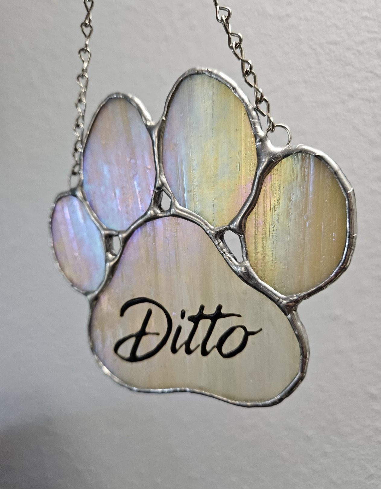 Pet Paw
