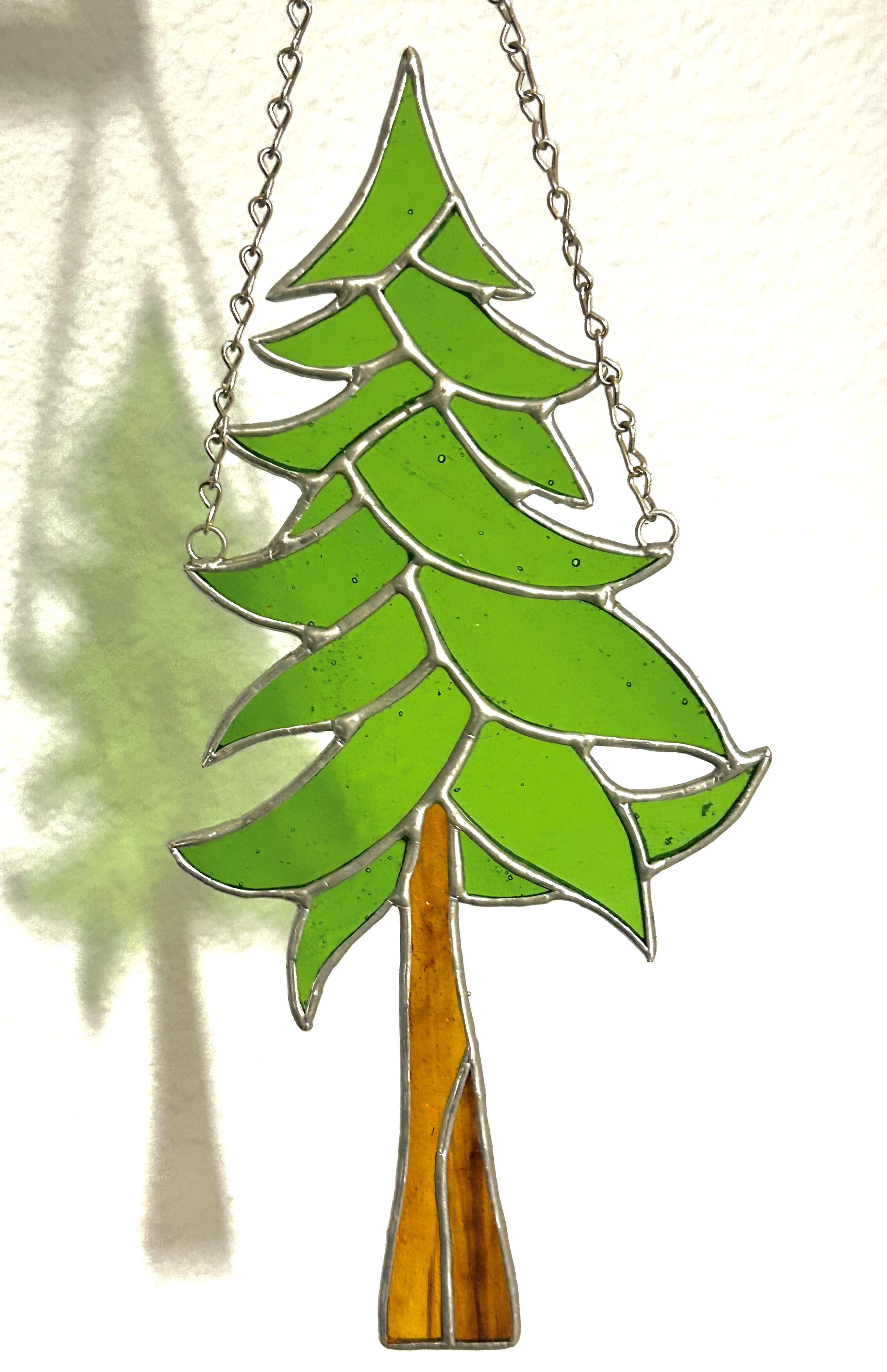 Redwood Tree