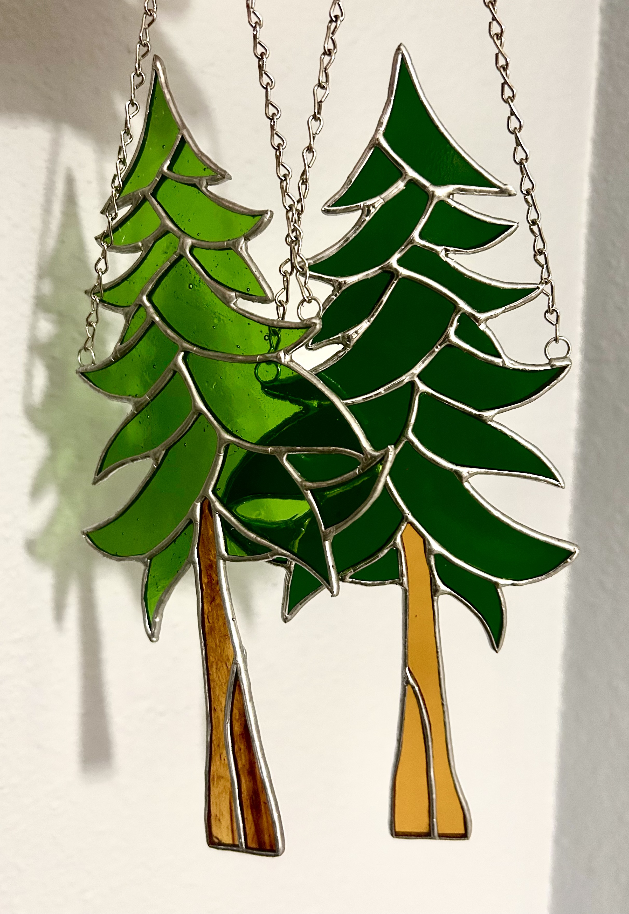 Redwood Tree