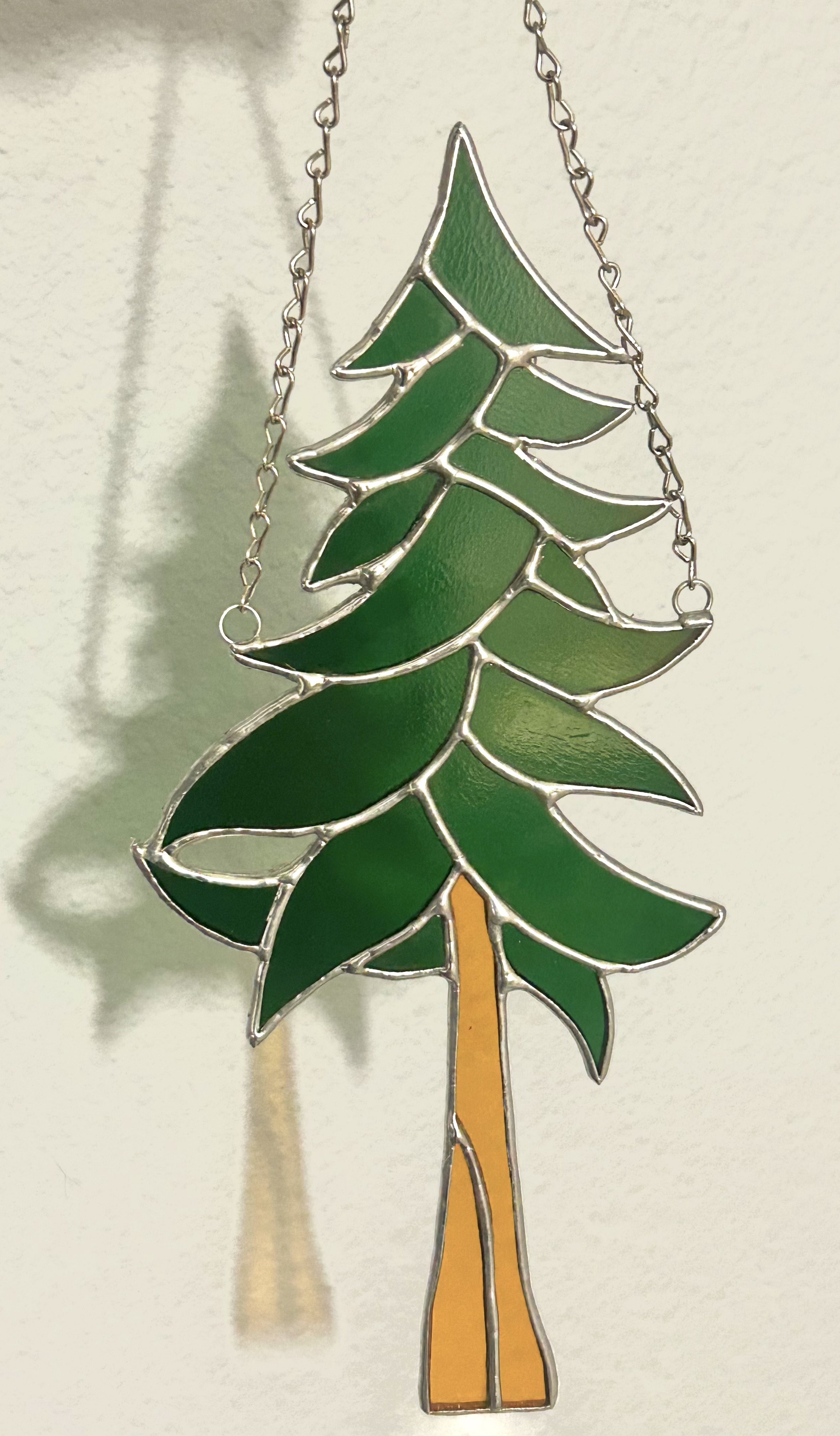 Redwood Tree