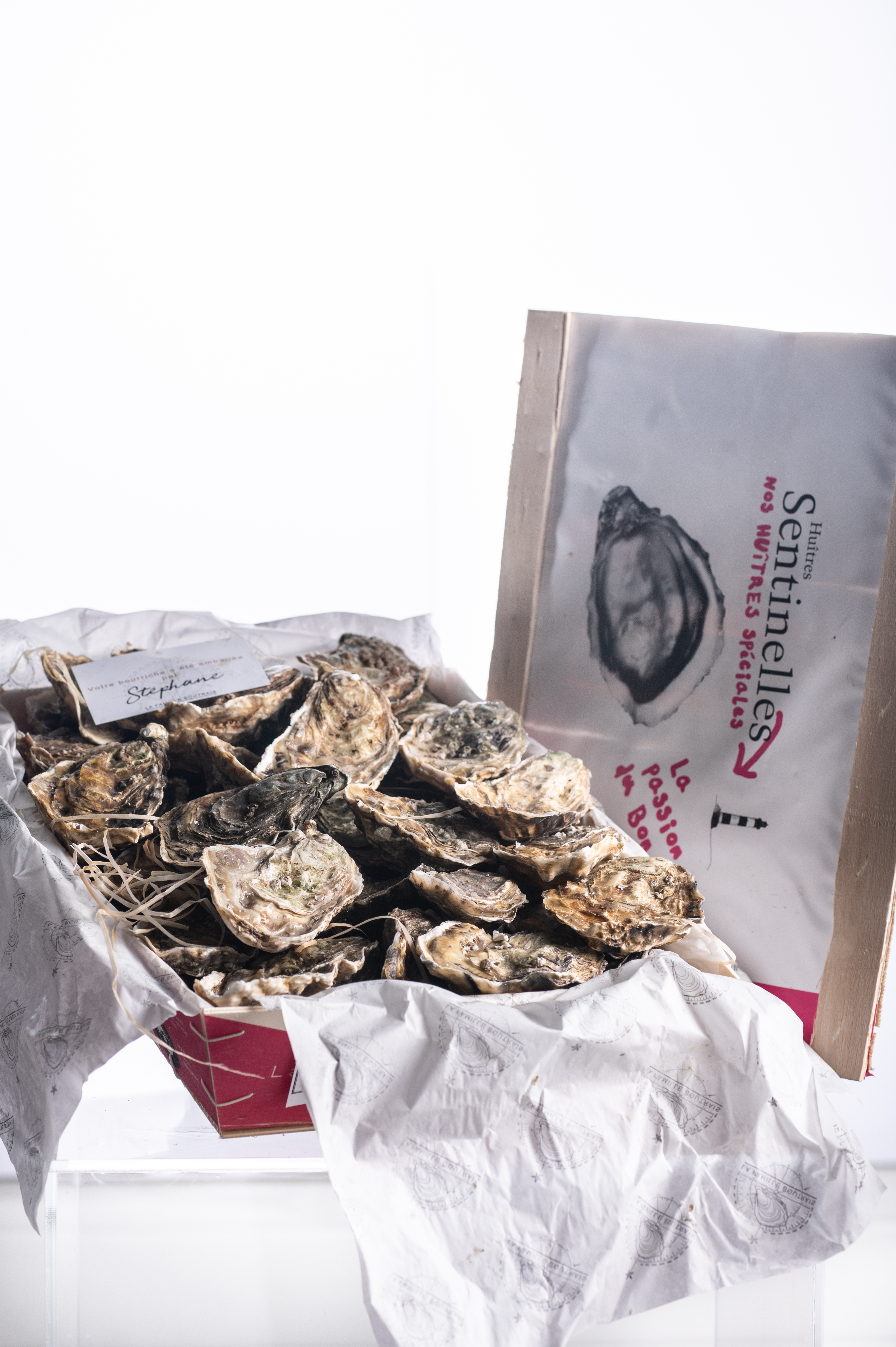 Austrės SENTINELLE N3 12 vnt. dėžutė (Airija)