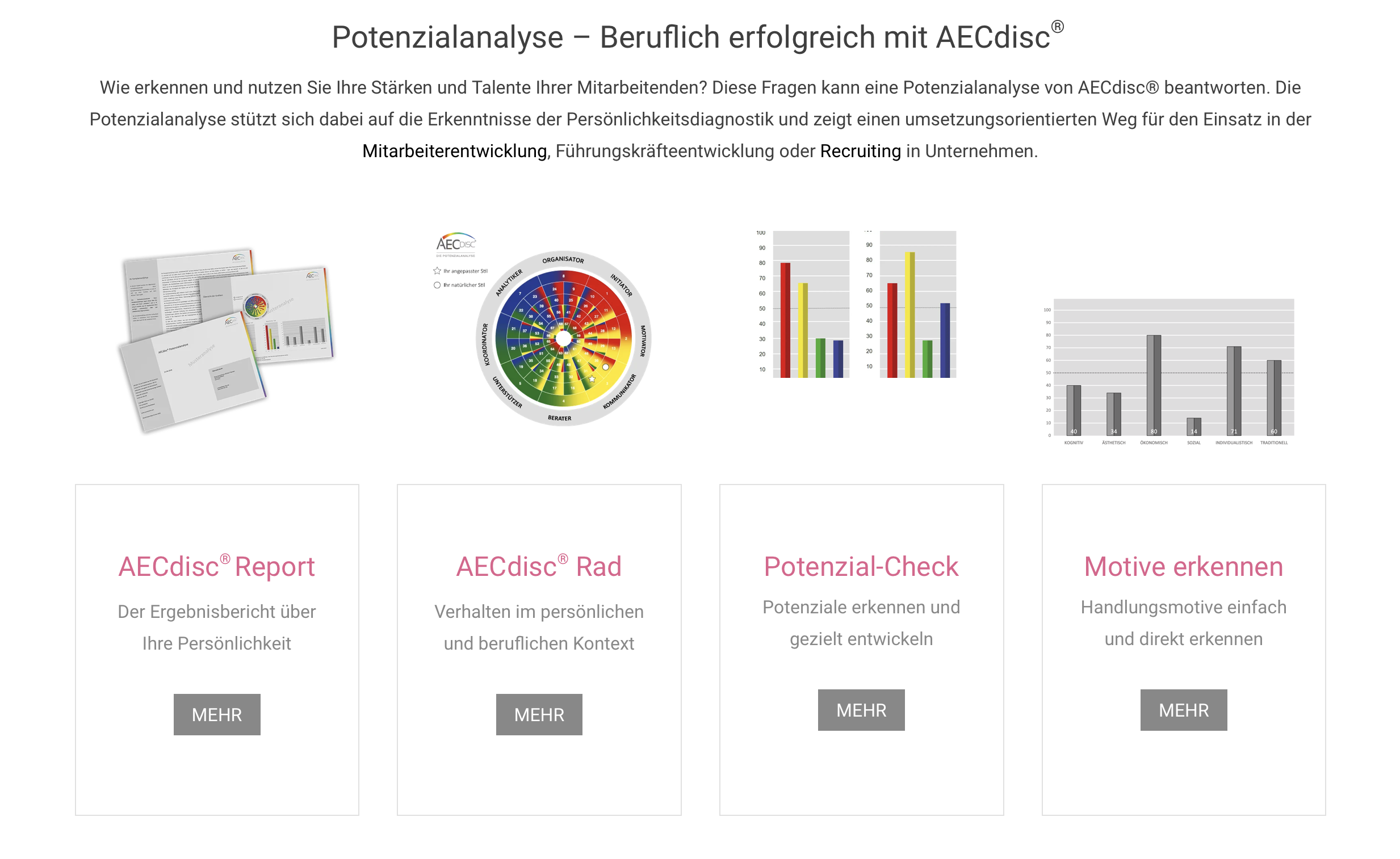 Potenzialanalyse mit AECdisc®