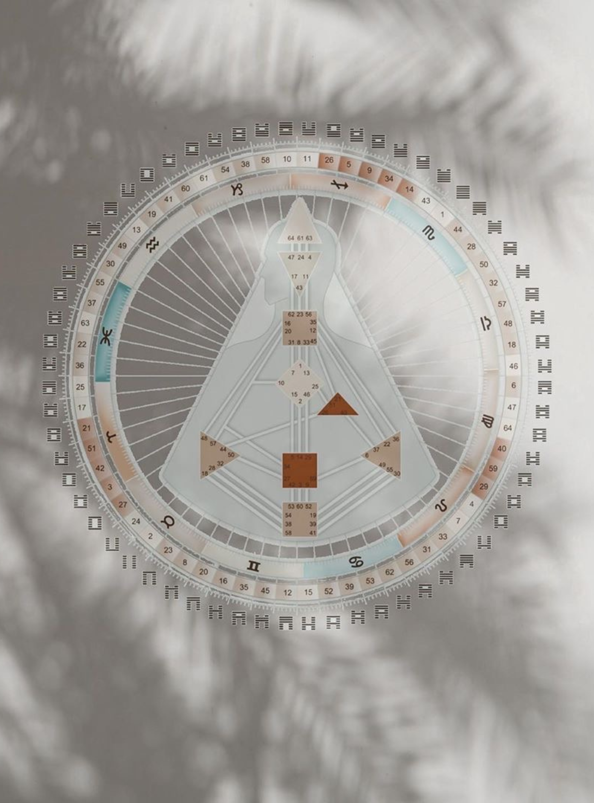 Human Design Reading