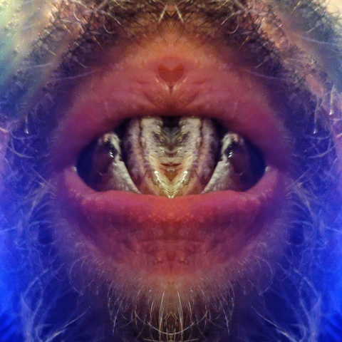 'FORNICANTS 2' fornicant 233 Abstract Fine Art Print 233:  Muffy    