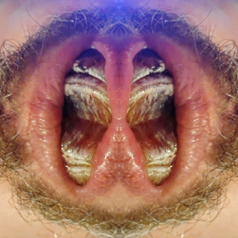 'FORNICANTS 2' fornicant 201 Abstract Fine Art Print