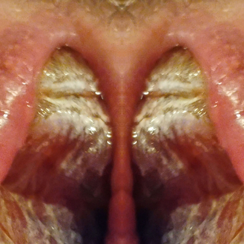 'FORNICANTS 2' fornicant 209: the tunnel Abstract Fine Art Print