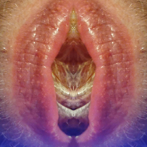 FORNICANTS 2 , fornicant 203  Abstract Fine Art Print