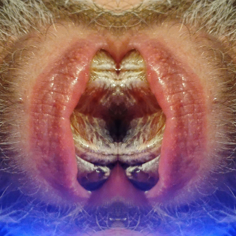 'FORNICANTS 2' fornicant 202 Abstract Fine Art Print