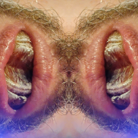 'FORNICANTS 2' fornicant 206:  TWINS  SEPERATE Abstract Fine Art Print