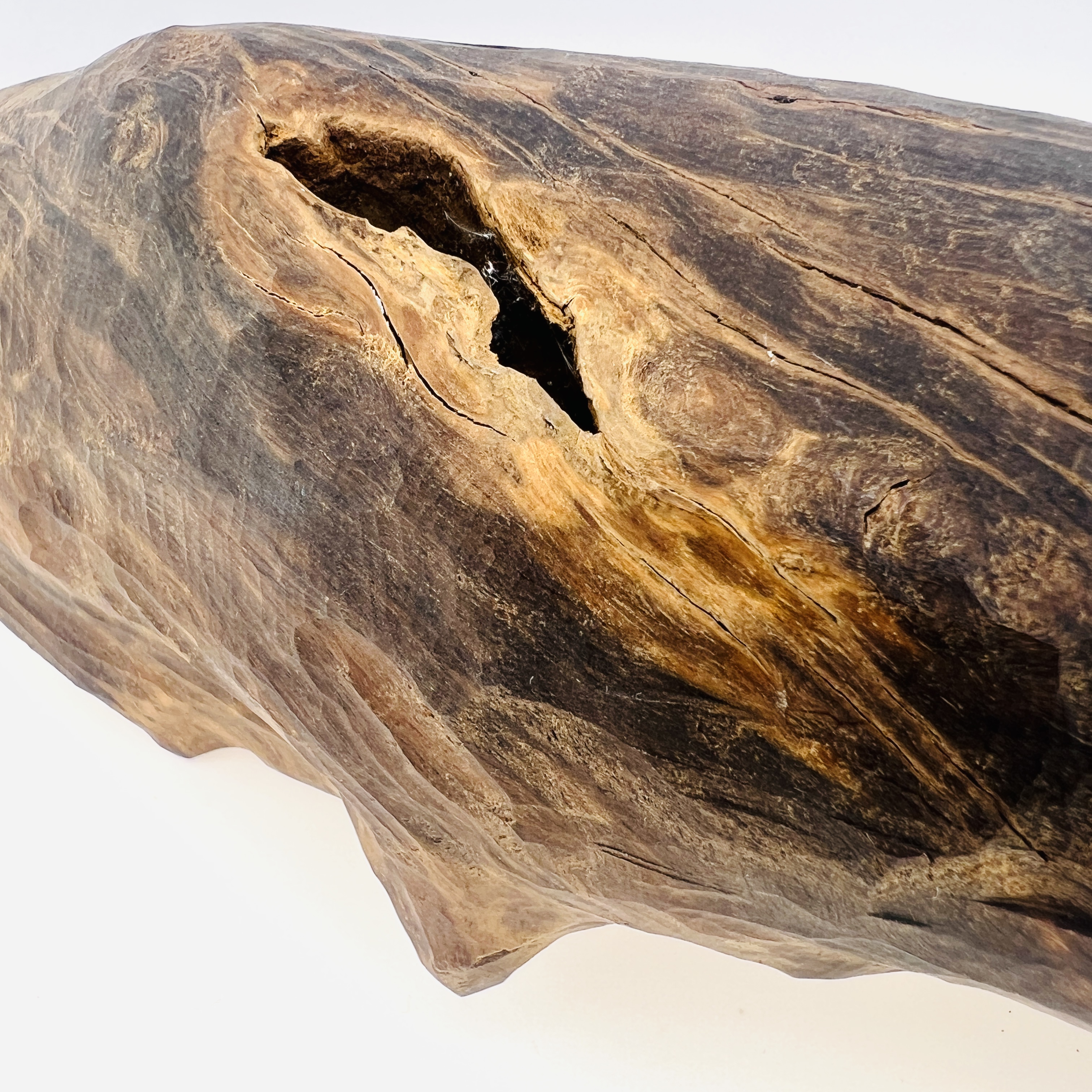 Precious Agarwood display block 