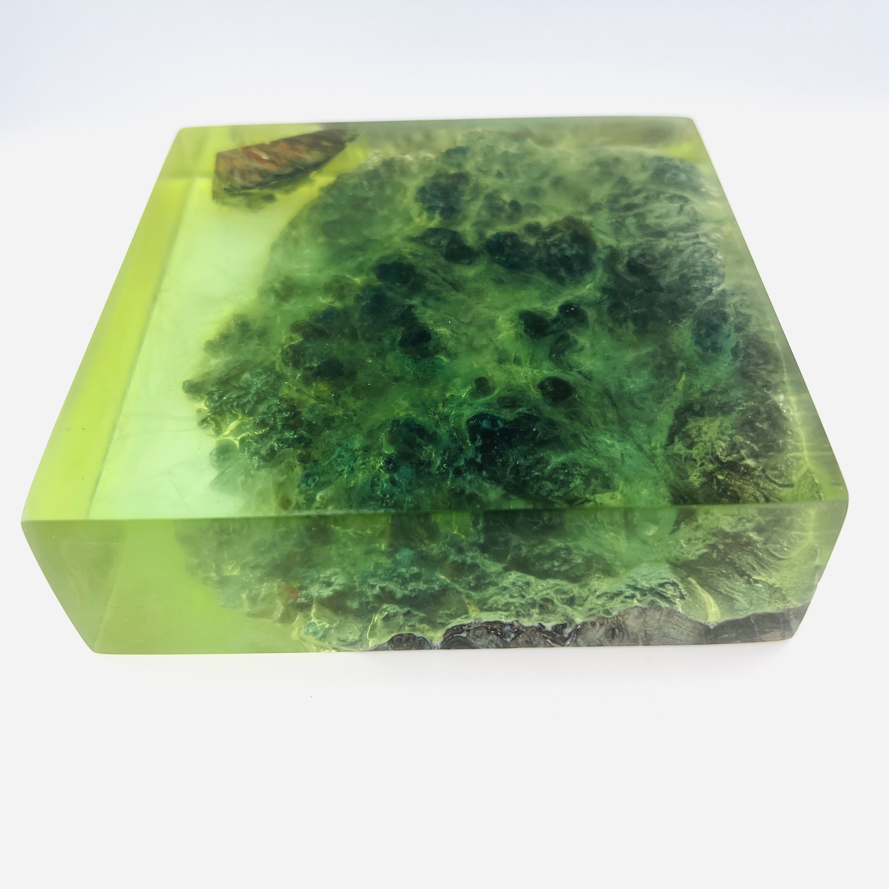 Resin and wood Green Bay display block