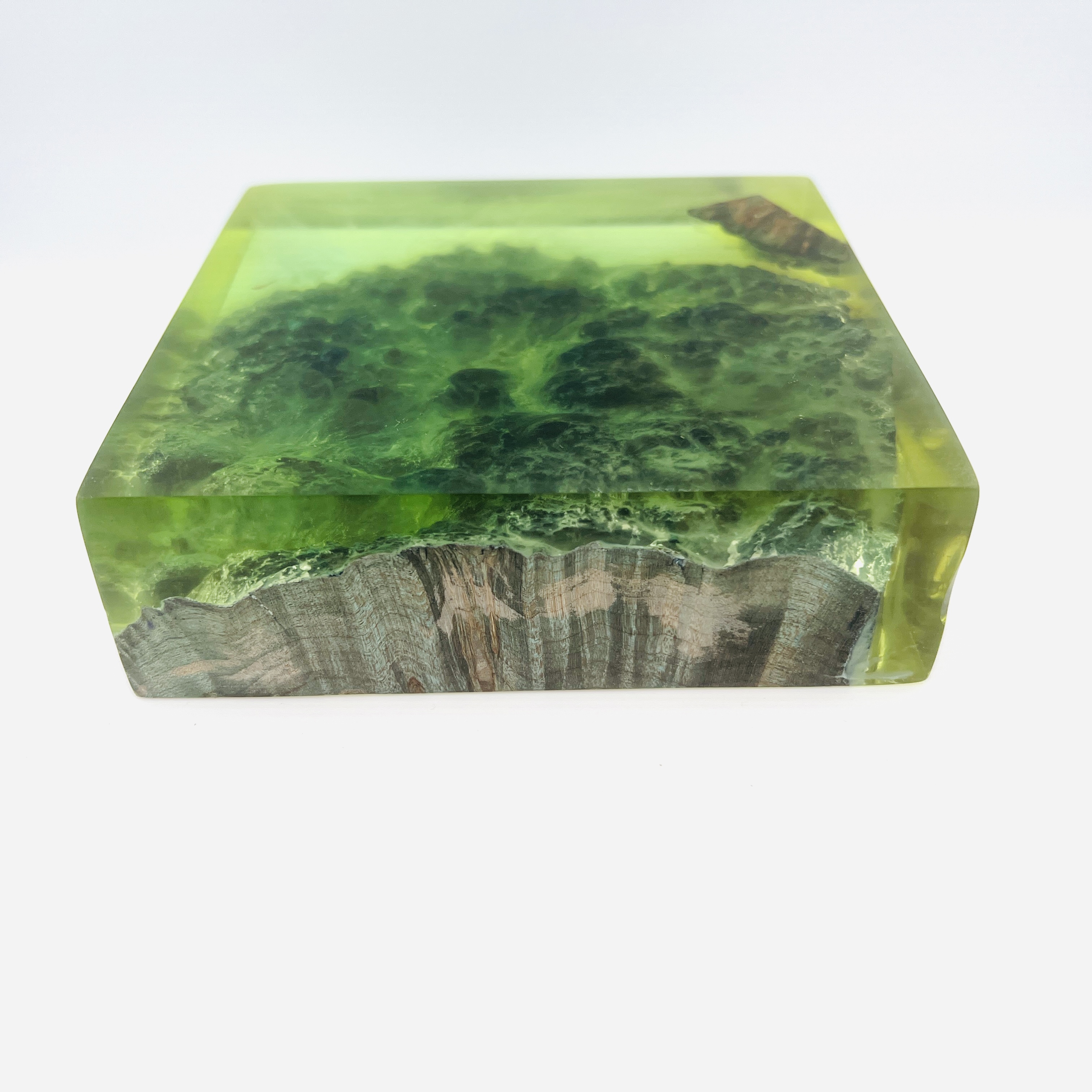 Resin and wood Green Bay display block