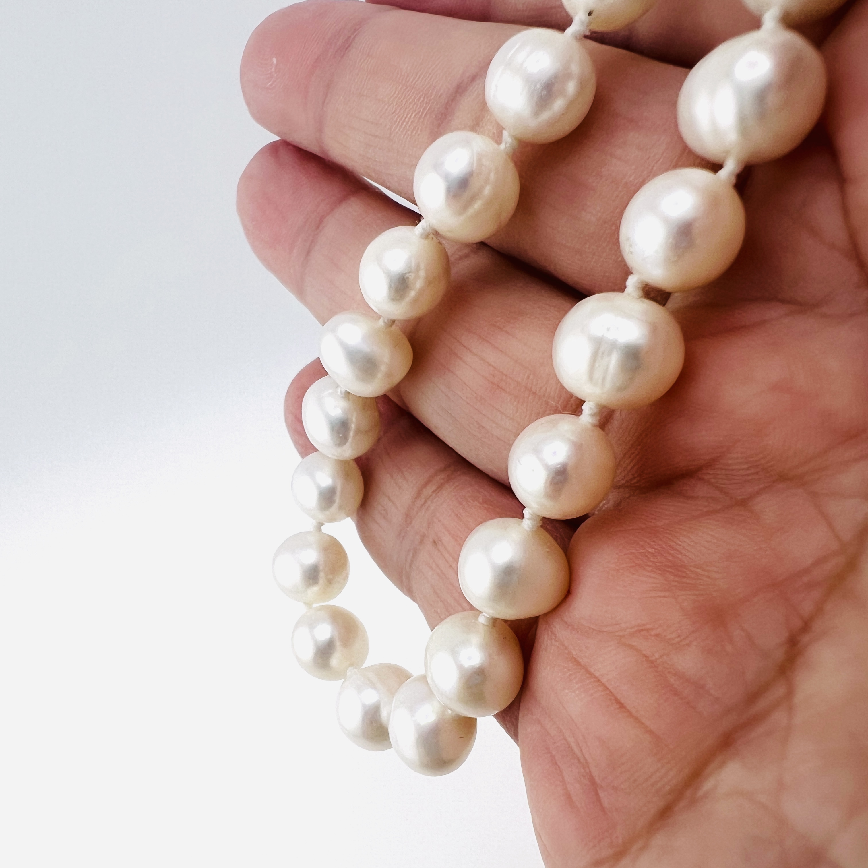 Fresh water pedal necklace, 8mm and 18 inches
