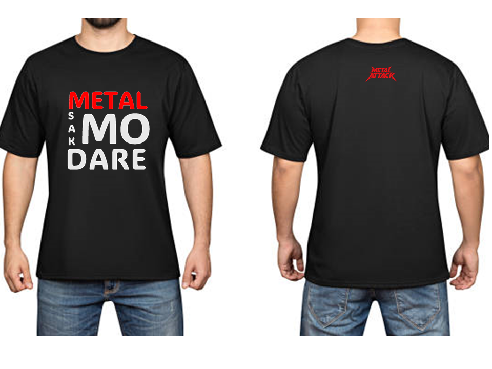 TS Metal Sak Modare
