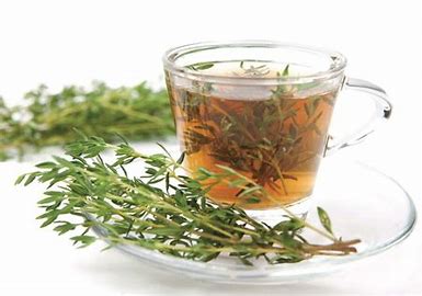 Thym Bio de Provence