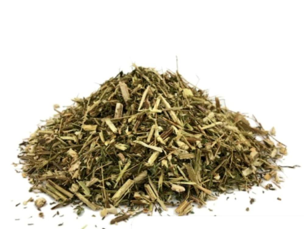 Tisane Armoise annuelle Bio