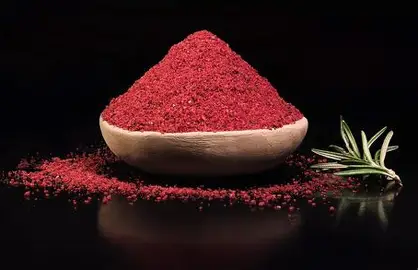 Sumac Bio Épice Acidulée & Fruitée