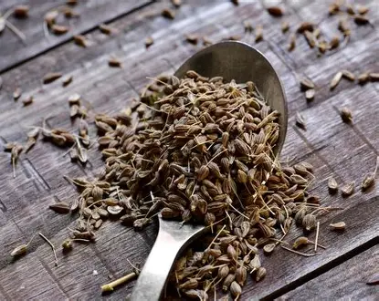 Anis Vert Bio en grains