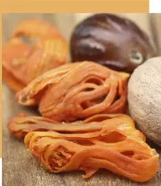 Macis Bio entier ou morceaux