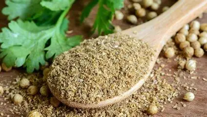 Coriandre Bio en Poudre