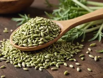 Fenouil Bio en Graines 