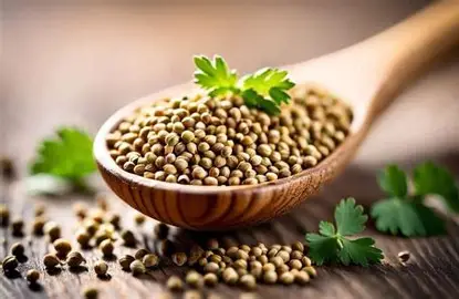 Coriandre Bio en Graines