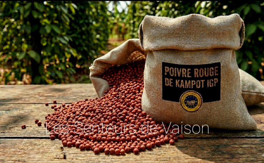 Poivre Rouge de Kampot IGP – Poivre Rare & Fruité du Cambodge