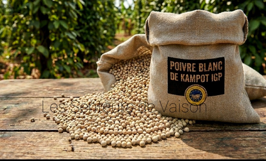 Poivre Blanc de Kampot IGP - Poivre d’Exception du Cambodge