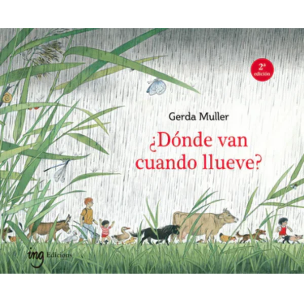 ¿Dónde van cuando llueve?